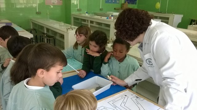 ¿Magia o Ciencia? ¿Magia o Ciencia?