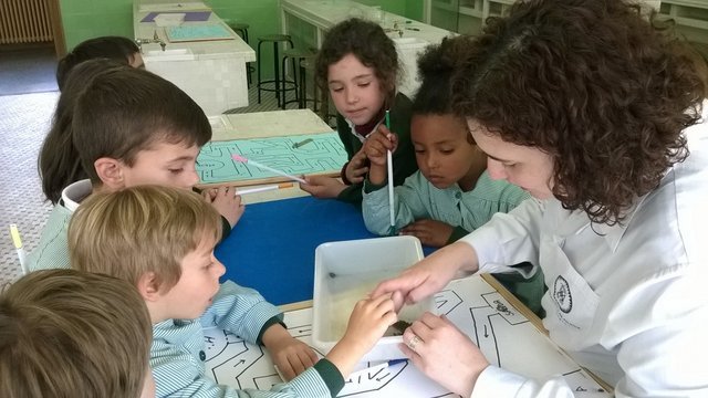 ¿Magia o Ciencia? ¿Magia o Ciencia?