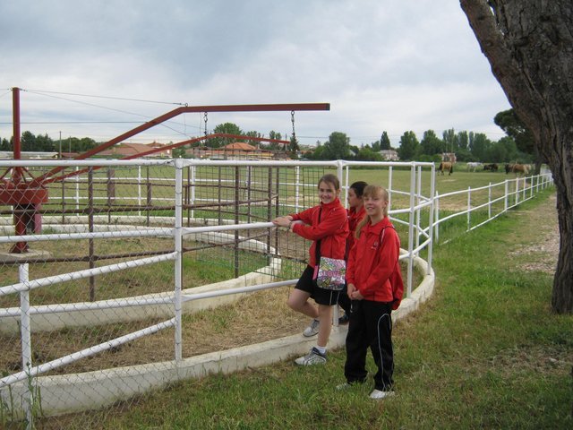 Centro Ecuestre de la Aldehuela Centro Ecuestre de la Aldehuela