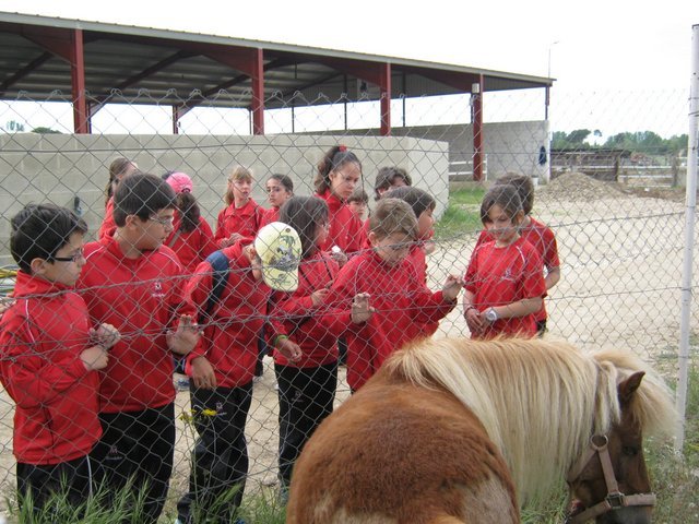 Centro Ecuestre de la Aldehuela Centro Ecuestre de la Aldehuela