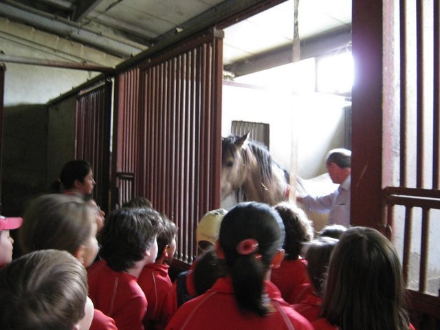 Centro Ecuestre de la Aldehuela Centro Ecuestre de la Aldehuela