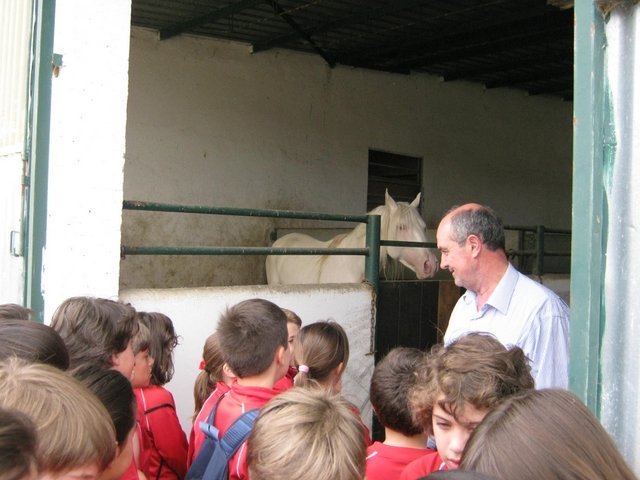 Centro Ecuestre de la Aldehuela Centro Ecuestre de la Aldehuela