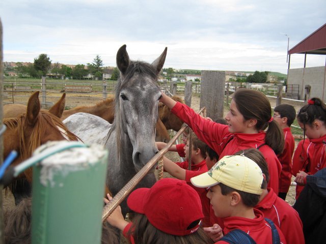 Centro Ecuestre de la Aldehuela Centro Ecuestre de la Aldehuela