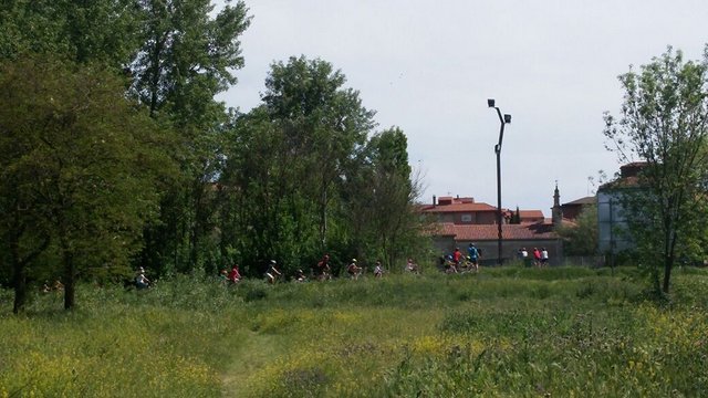 Pedales Solidarios Pedales Solidarios