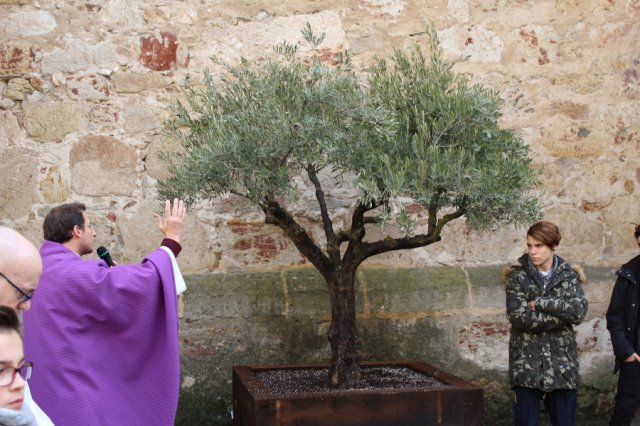 Los Escolapios celebran los 400 años de la fundación de su institución Los Escolapios celebran los 400 años de la fundación de su institución