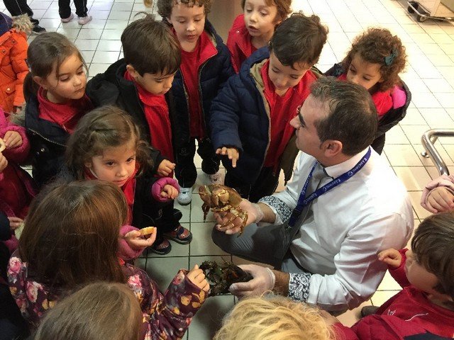 Infantil hace la compra Infantil hace la compra