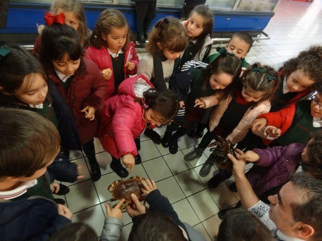 Infantil hace la compra Infantil hace la compra