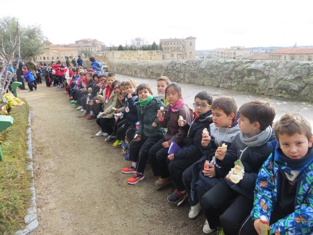 Peregrinos por un día Peregrinos por un día