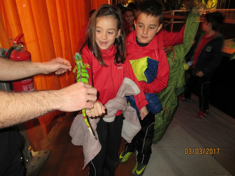 La fauna de los reptiles La fauna de los reptiles