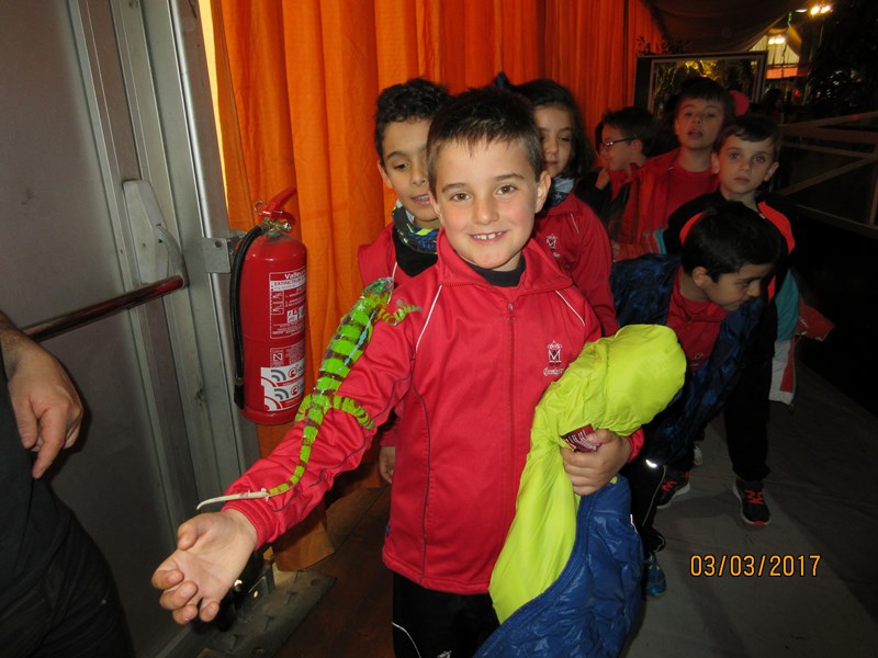 La fauna de los reptiles La fauna de los reptiles