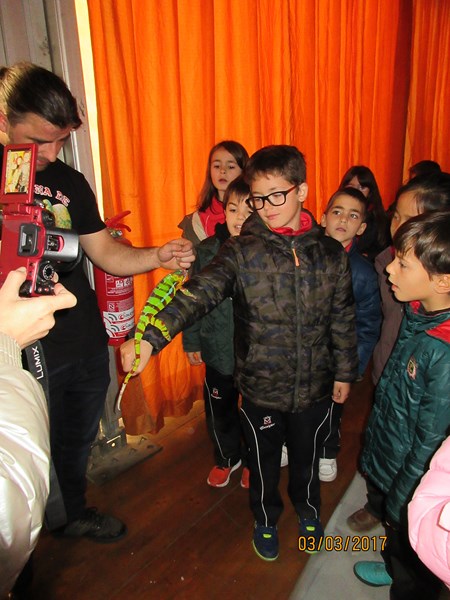 La fauna de los reptiles La fauna de los reptiles