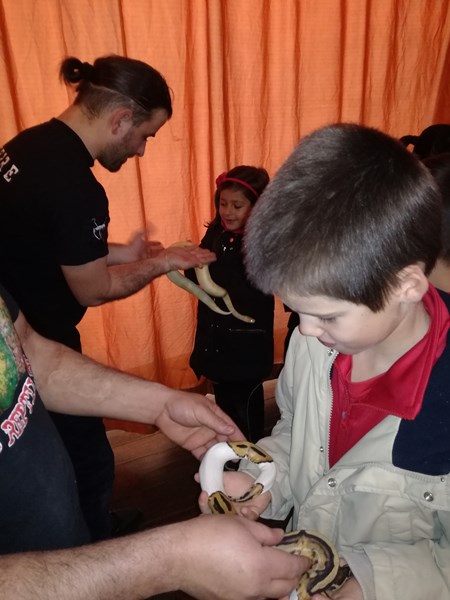 La fauna de los reptiles La fauna de los reptiles