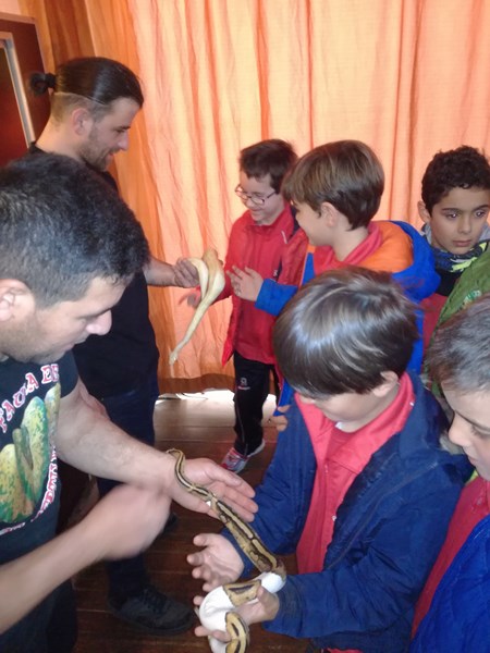 La fauna de los reptiles La fauna de los reptiles