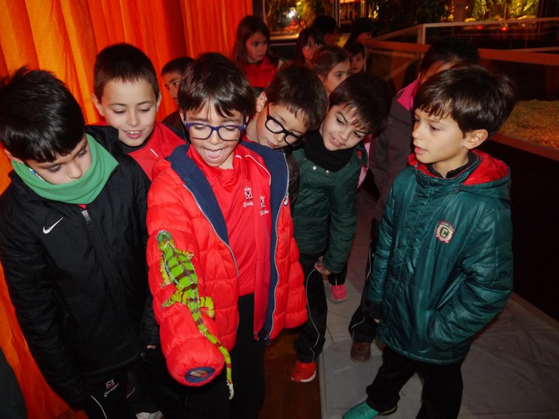 La fauna de los reptiles La fauna de los reptiles