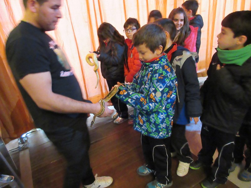 La fauna de los reptiles La fauna de los reptiles