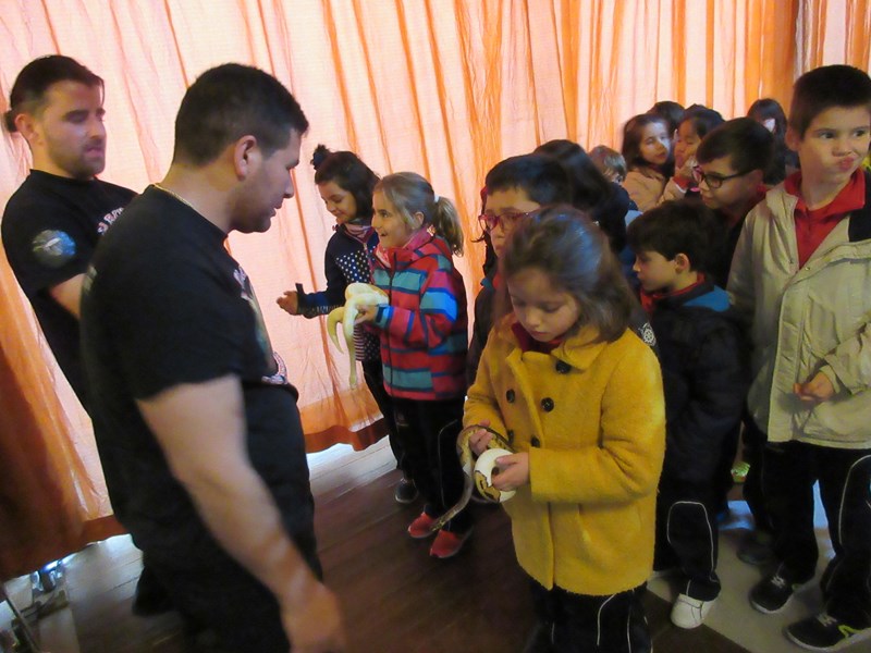 La fauna de los reptiles La fauna de los reptiles