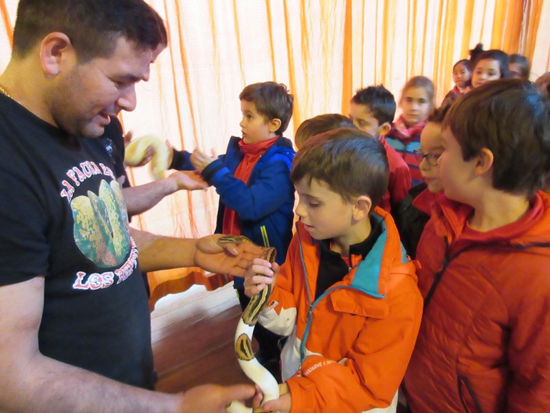 La fauna de los reptiles La fauna de los reptiles