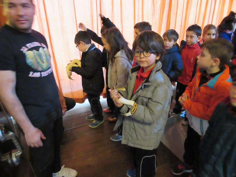 La fauna de los reptiles La fauna de los reptiles