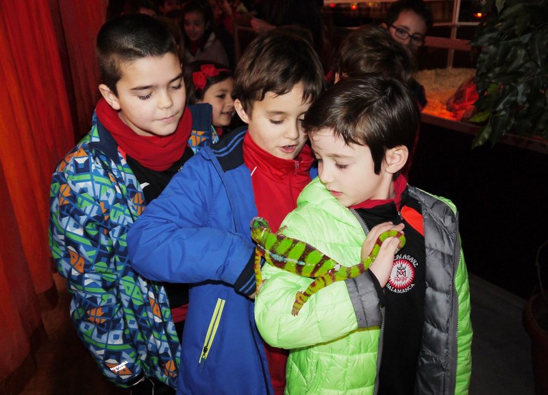 La fauna de los reptiles La fauna de los reptiles