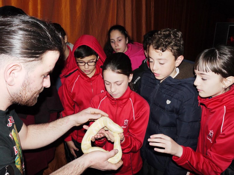 La fauna de los reptiles La fauna de los reptiles