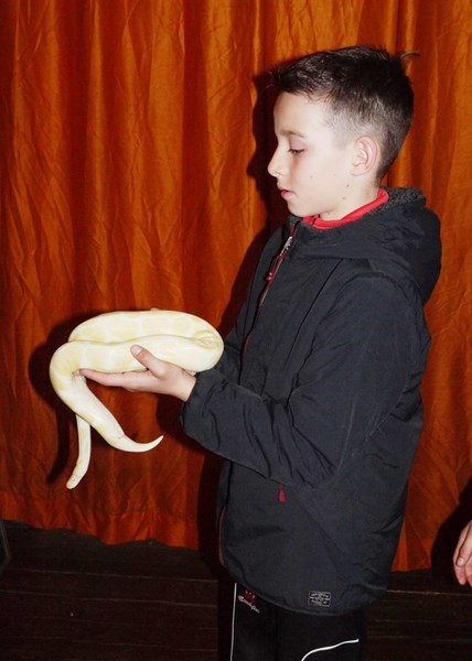 La fauna de los reptiles La fauna de los reptiles