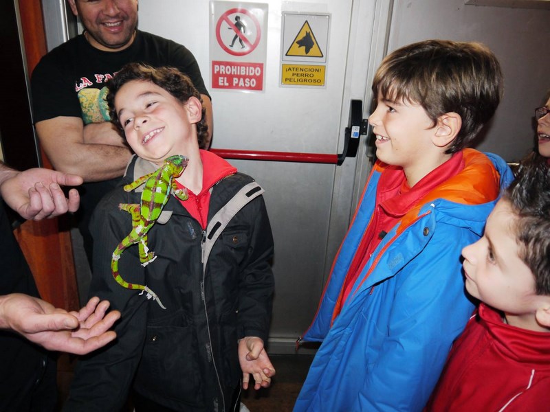 La fauna de los reptiles La fauna de los reptiles