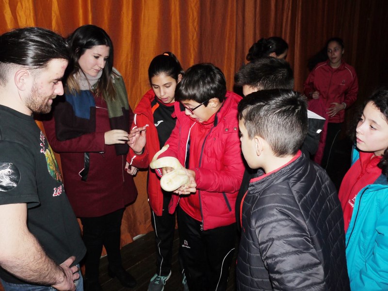 La fauna de los reptiles La fauna de los reptiles