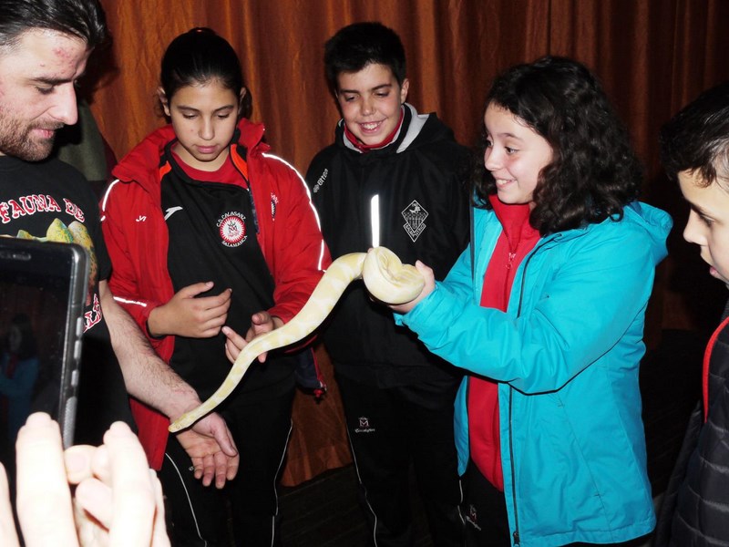 La fauna de los reptiles La fauna de los reptiles