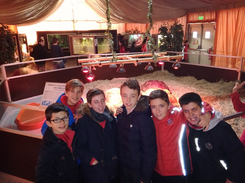 La fauna de los reptiles La fauna de los reptiles