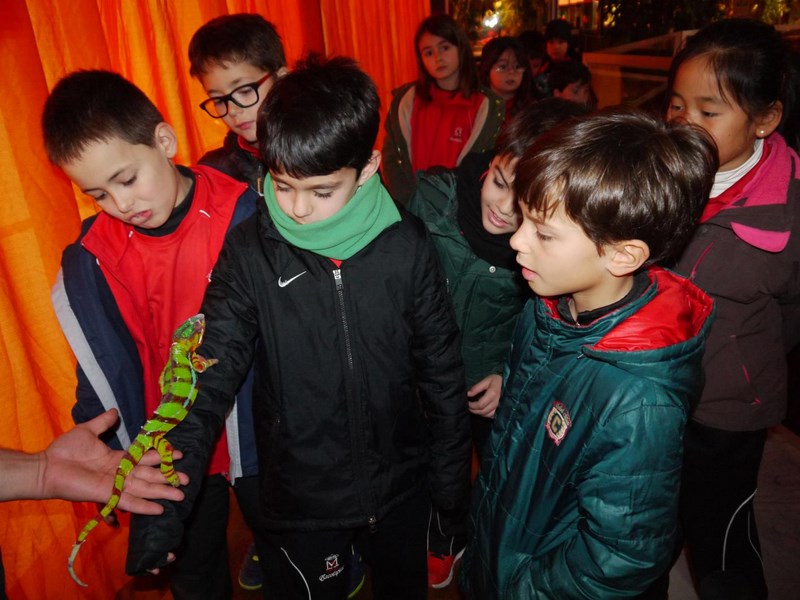 La fauna de los reptiles La fauna de los reptiles