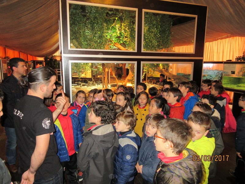 La fauna de los reptiles La fauna de los reptiles