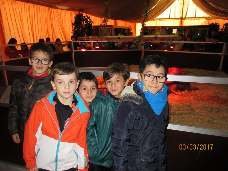 La fauna de los reptiles La fauna de los reptiles