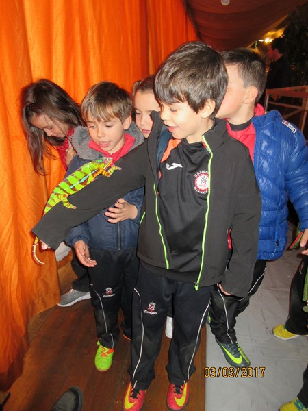 La fauna de los reptiles La fauna de los reptiles