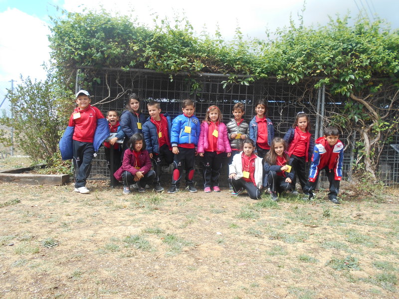 Excursión El Trillo