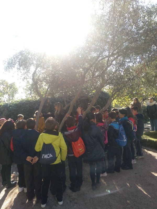 Visita al Huerto de Calixto y Melibea Visita al Huerto de Calixto y Melibea