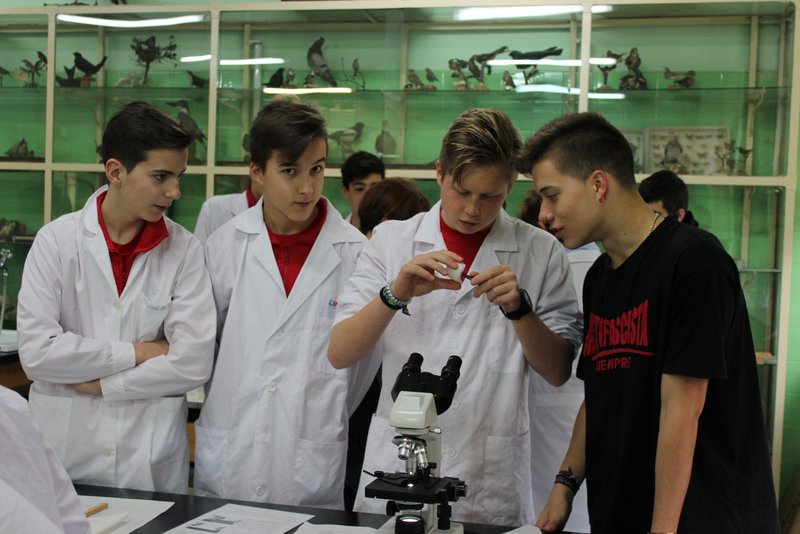 Experiencia 5x5x5 Experiencia 5x5x5