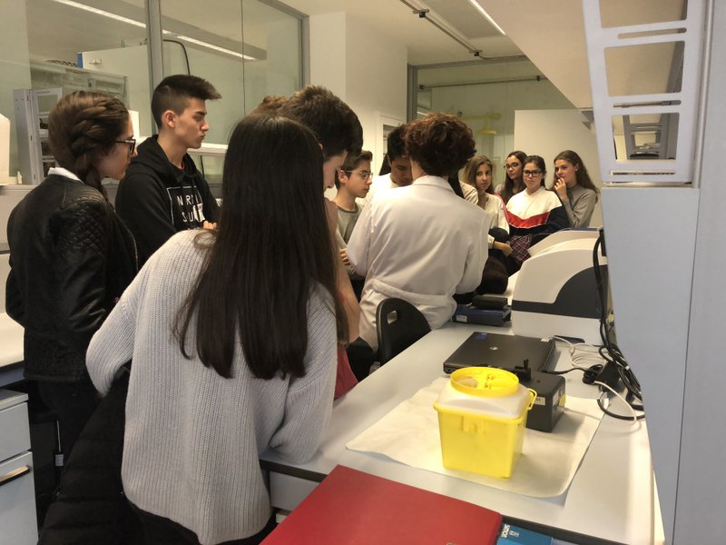 II Concurso de Biotecnología II Concurso de Biotecnología