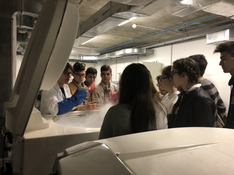 II Concurso de Biotecnología II Concurso de Biotecnología