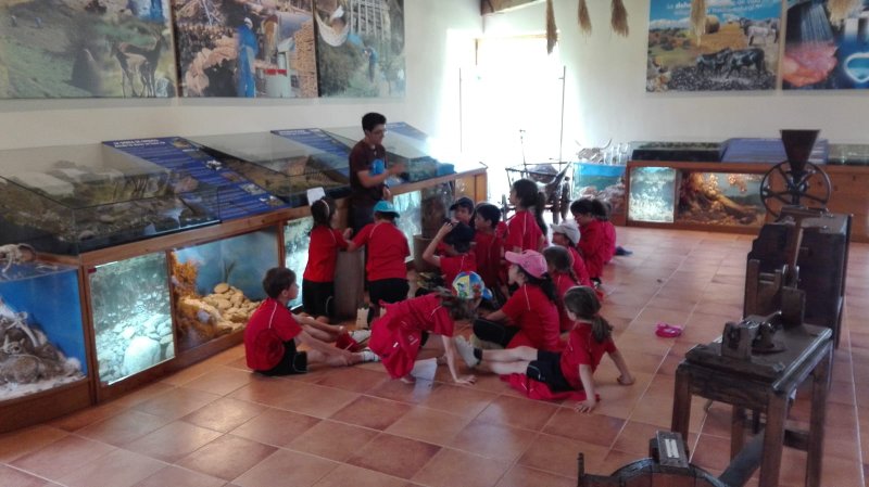 Excursión a Almenara de Tormes. Excursión a Almenara de Tormes.