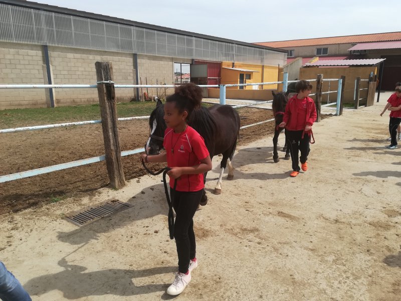 Centro Ecuestre Centro Ecuestre