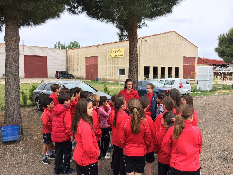 Centro Ecuestre Centro Ecuestre