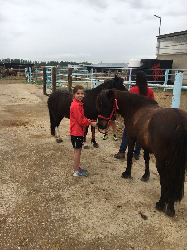 Centro Ecuestre Centro Ecuestre