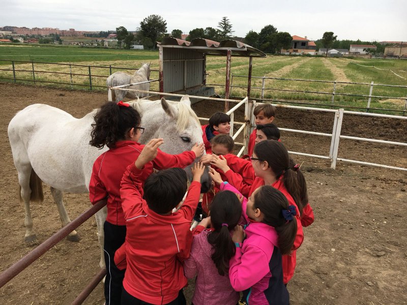 Centro Ecuestre Centro Ecuestre