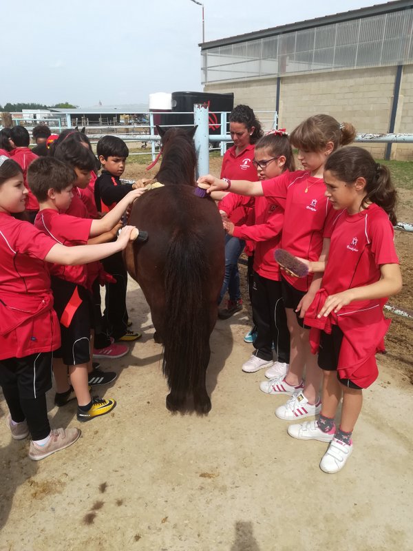 Centro Ecuestre Centro Ecuestre