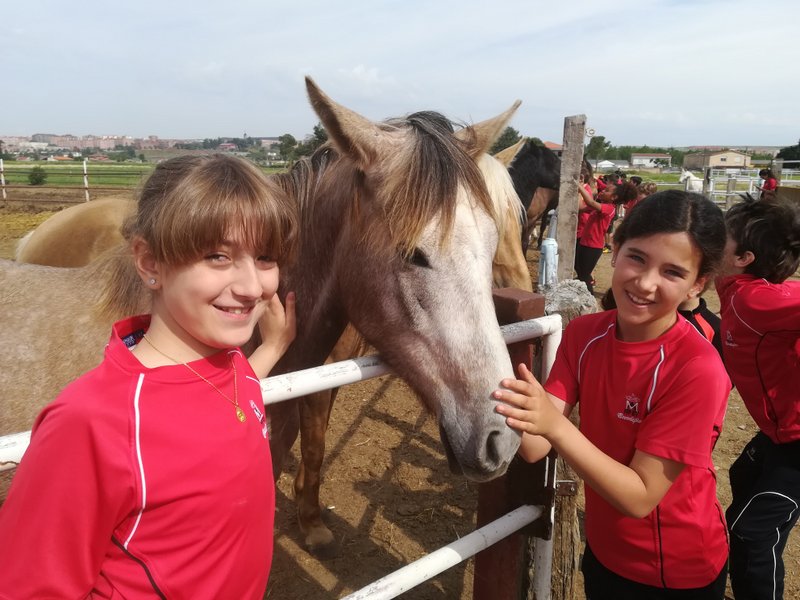 Centro Ecuestre Centro Ecuestre