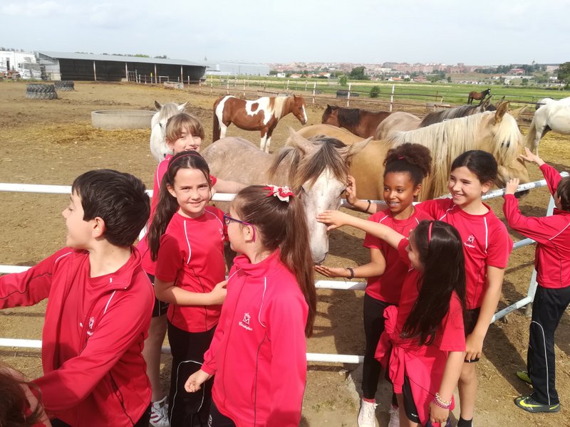 Calasanz_Centro Ecuestre