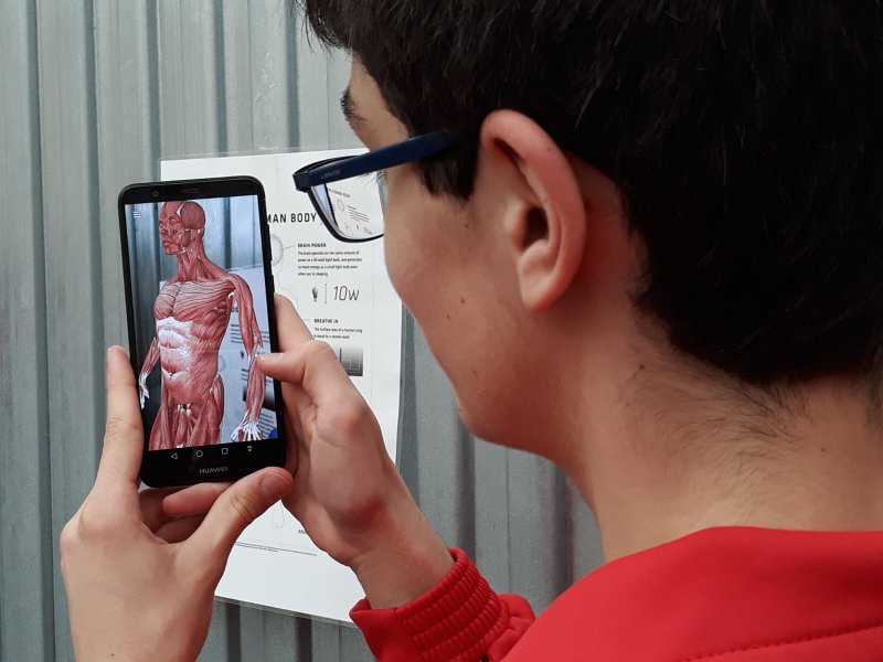 Calasanz_Educación Física