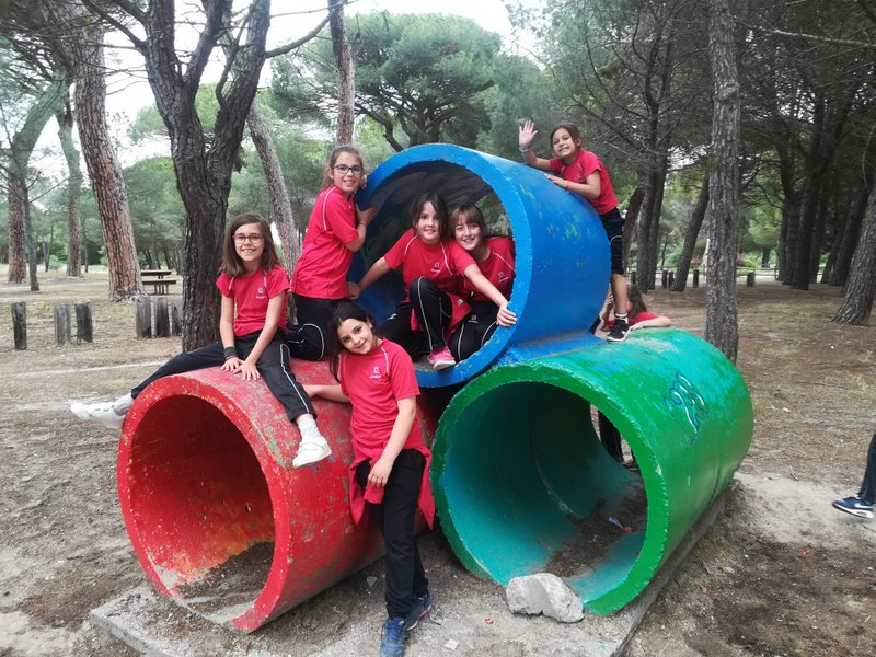 ¿Dónde se fabrica la leche? ¿Dónde se fabrica la leche?