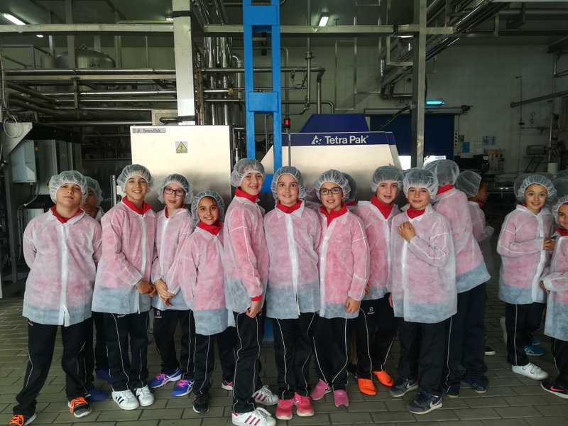 ¿Dónde se fabrica la leche? ¿Dónde se fabrica la leche?