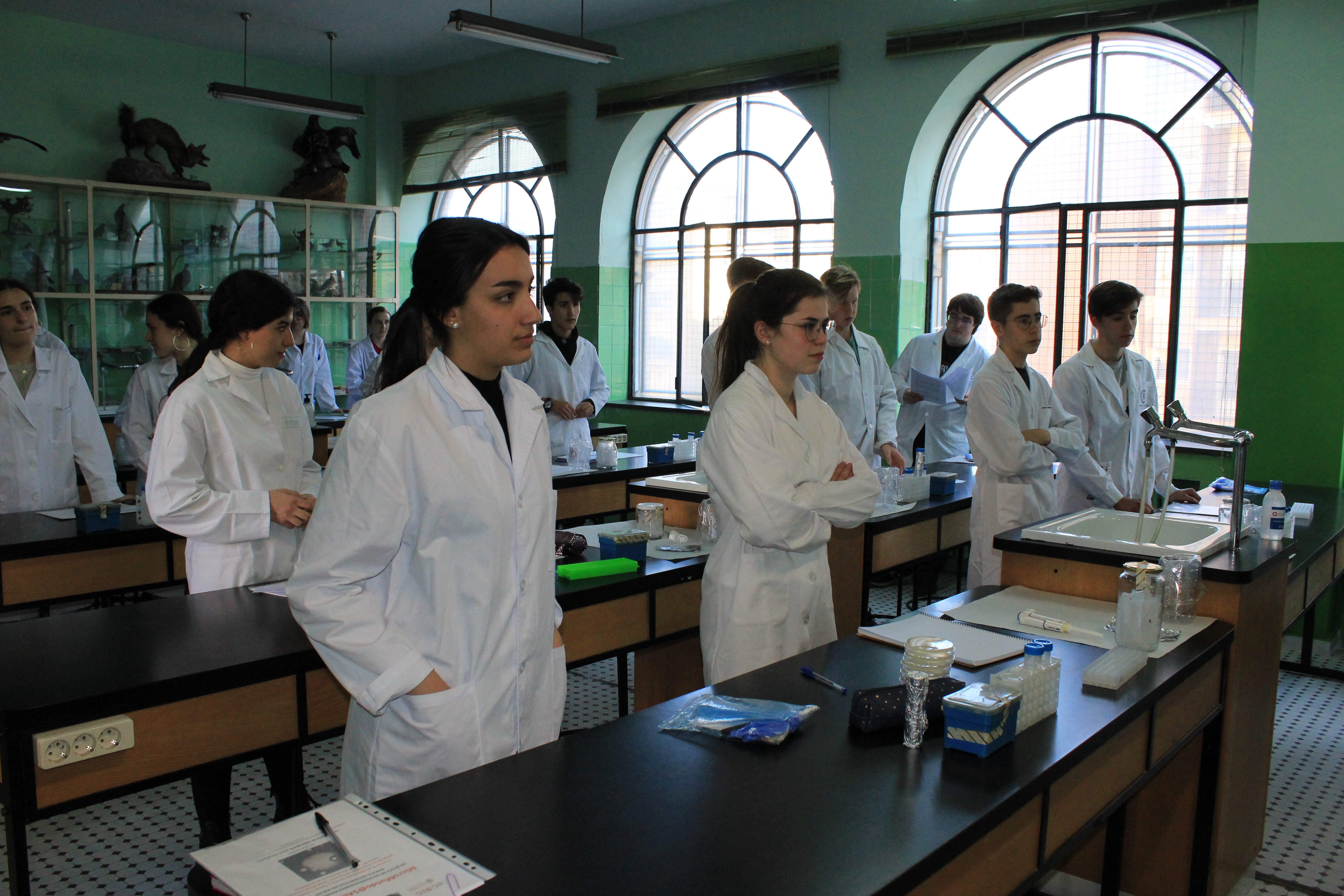 Proyecto SWI/Micromundo